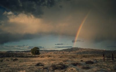A Blessing for Strong Faith