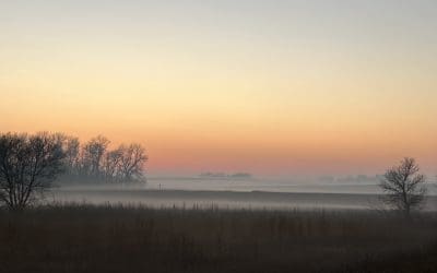 A Prayer for the Fearful Heart