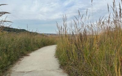 A Prayer for Courage in the Wilderness